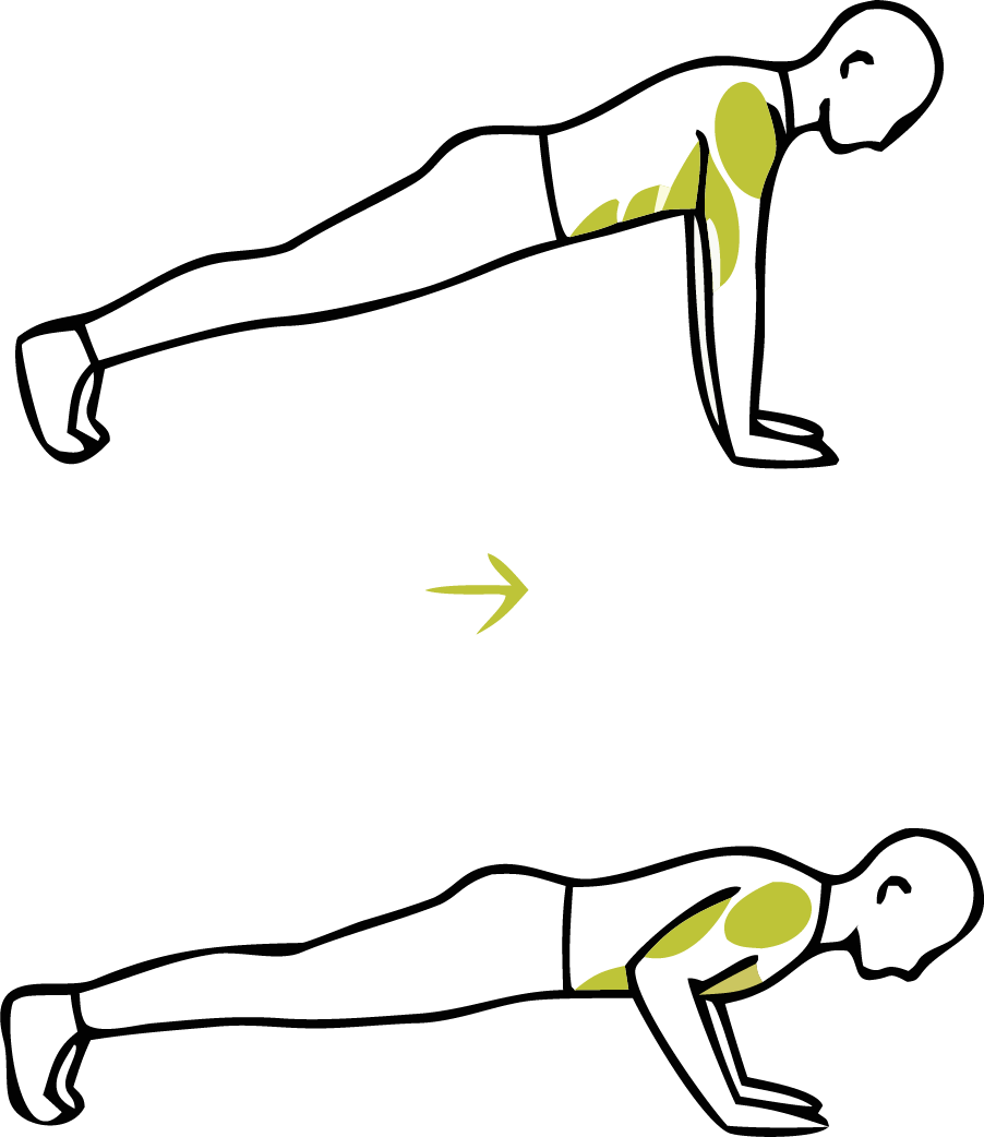 Illustration einer Person in der Liegestützposition mit gerader Körperlinie von Kopf bis Ferse